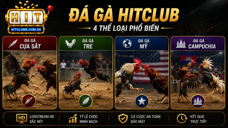 Các thể loại đá gà HitClub phổ biến