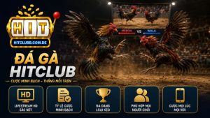 Tìm hiểu về sảnh đá gà HitClub