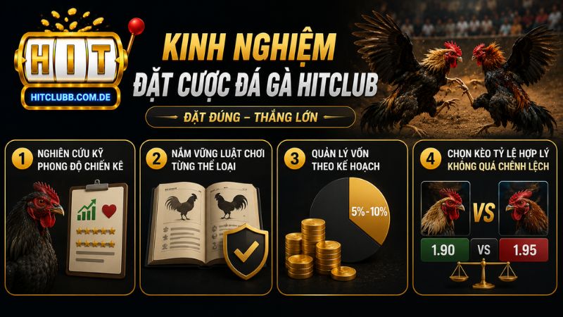 Những kinh nghiệm đặt cược đá gà HitClub hiệu quả